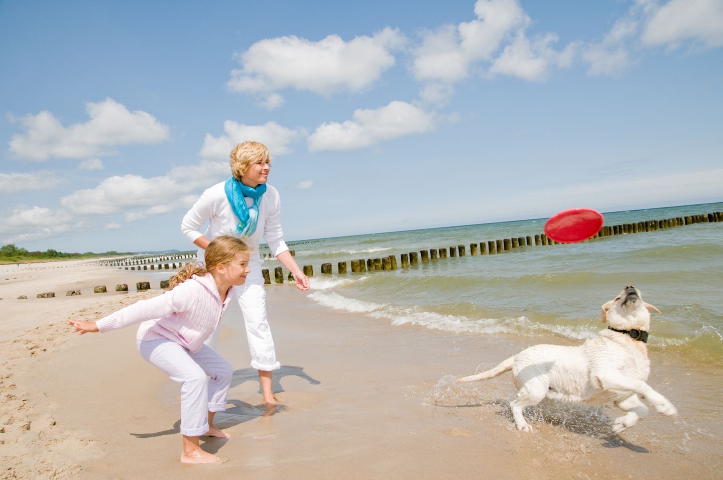 Frisbee werfen am Strand - Frau, Kind und Hund