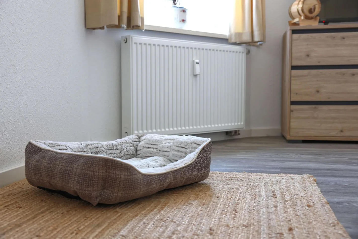 Ferienwohnung Zur Sonne Thüringer Wald - Ein schöner Platz für den Hund