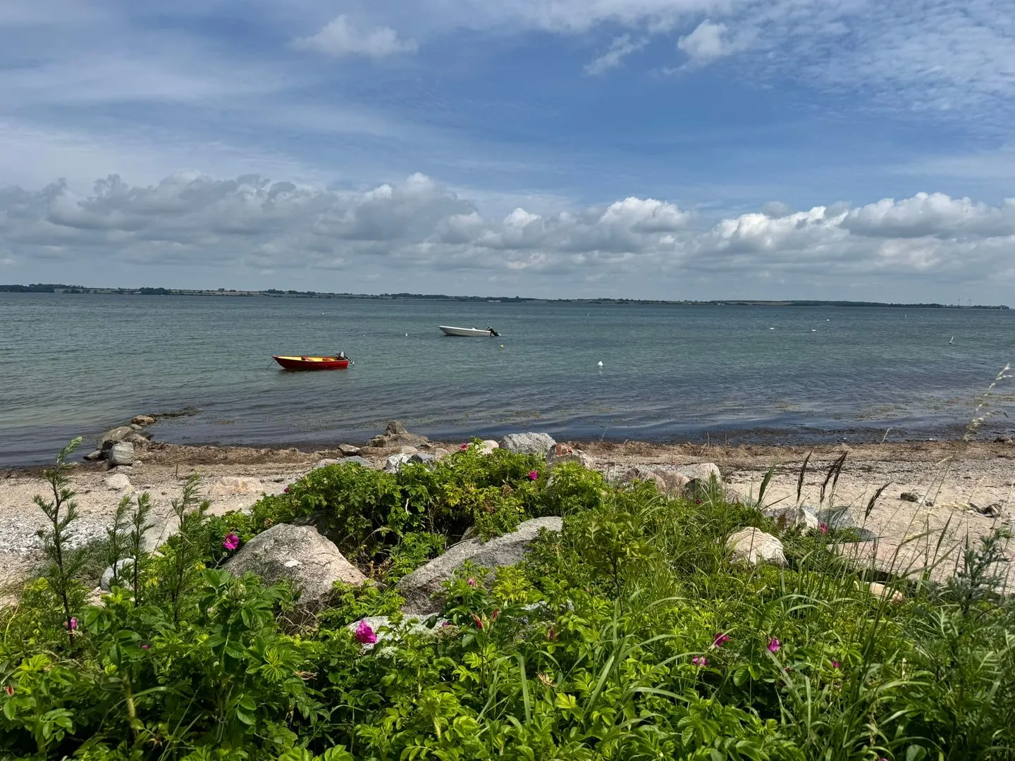 Blaue Pause Flensburger Förde - Naturstrand mit DLRG in Westerholz