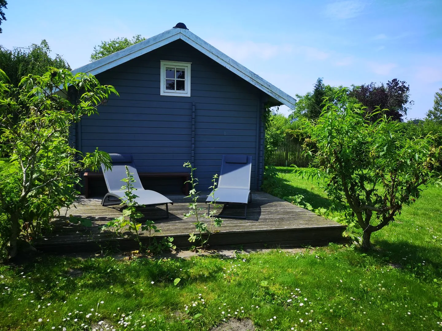 Hus Hygge Born - Gartenblick