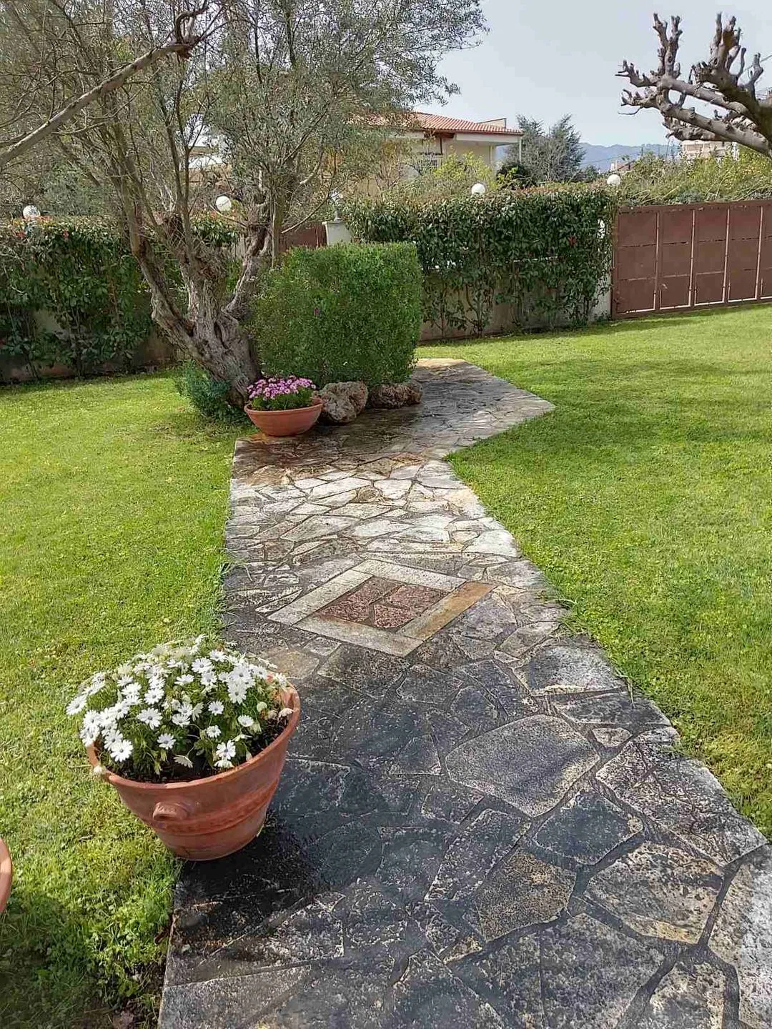 Spiti Loggos Selianitika - Garten
