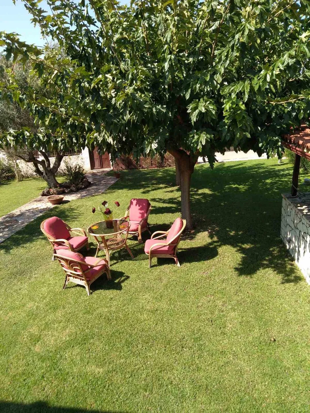 Spiti Loggos Selianitika - Garten