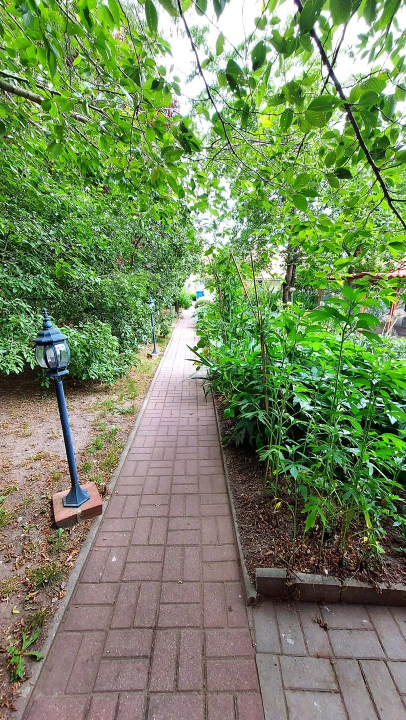 Ferienhaus Julchen Samtens - Gartenblick
