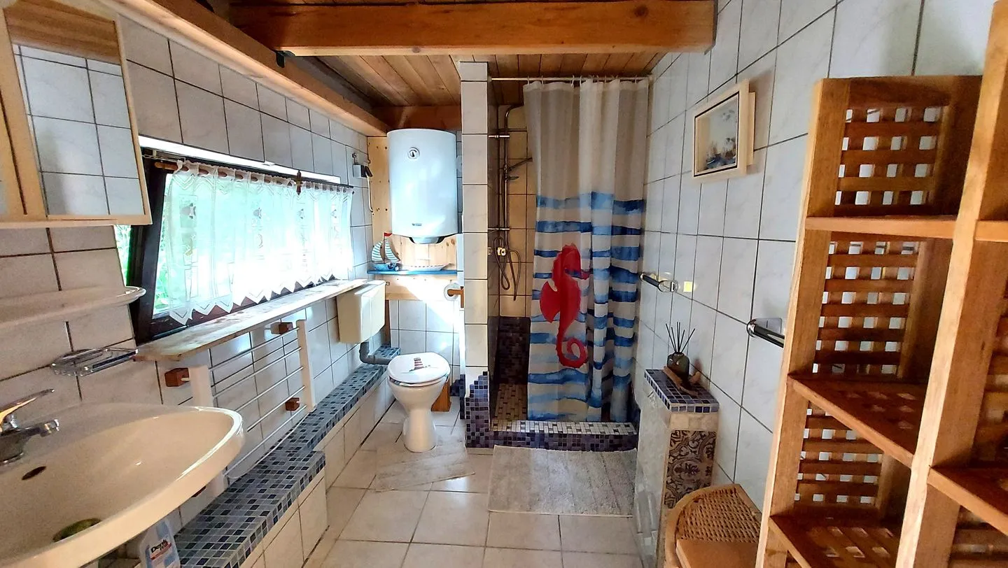 Ferienhaus Julchen Samtens - Badezimmer