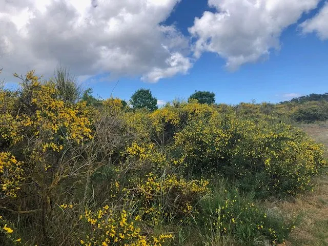 Ferienwohnung Lavendel (2) Mariendorf - Landschaft