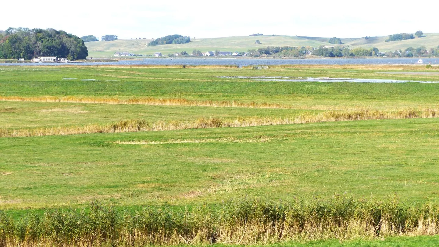 Ferienwohnung AHOI Thiessow - Landschaft