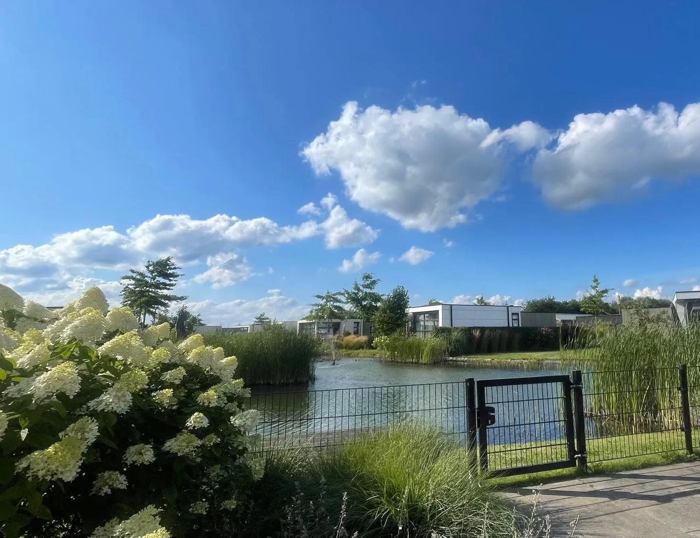 Marina Strandbad Chalet Waterlijn mit Zaun Haus Nr. 91 Gelderland -