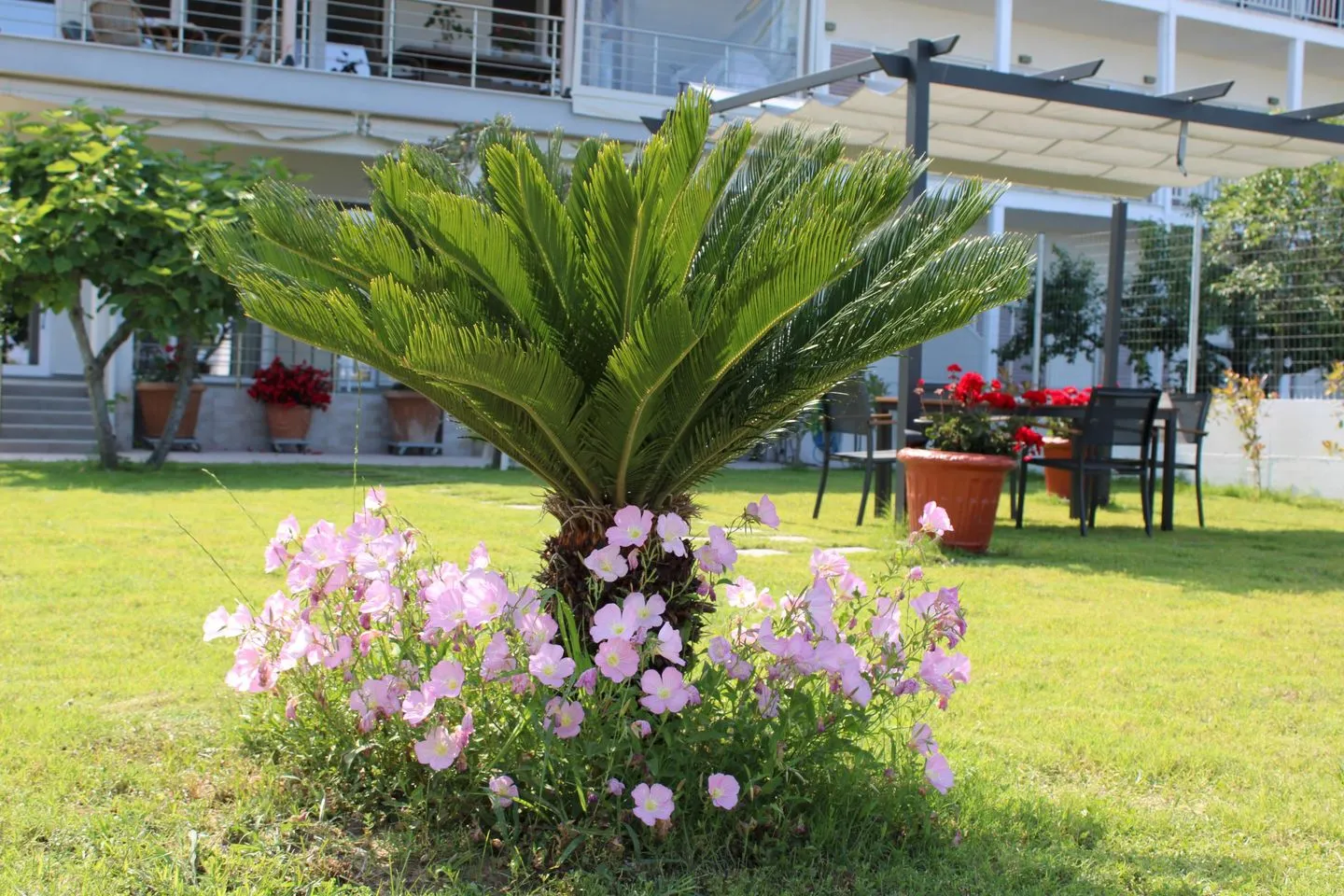 Kavadias Sea View 1 Skotina - Garden