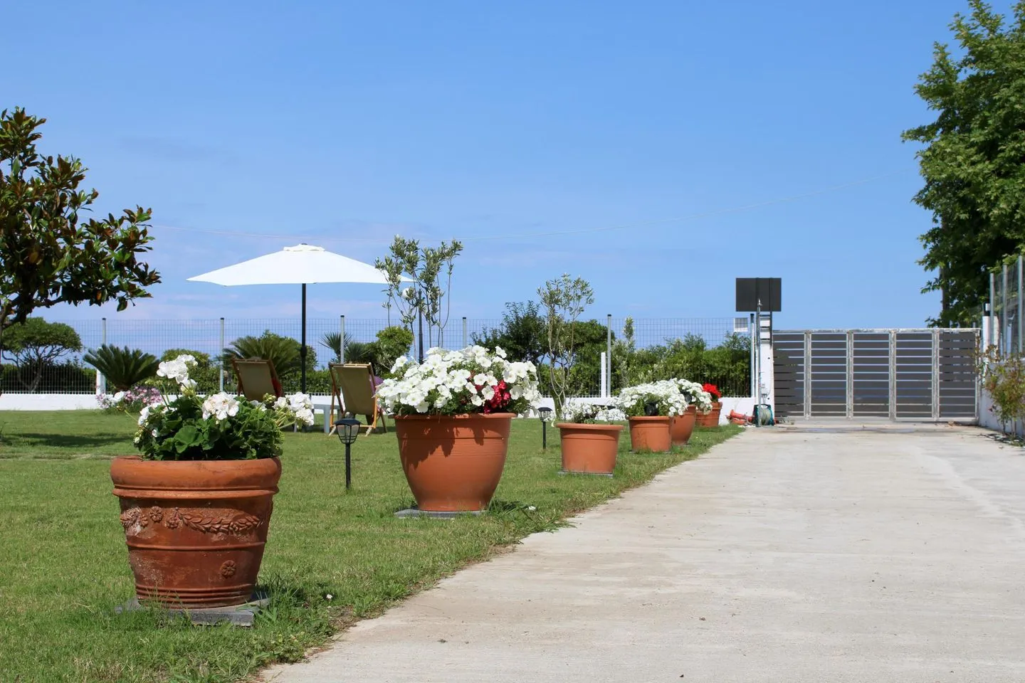 Kavadias Sea View 2 Skotina - Garden