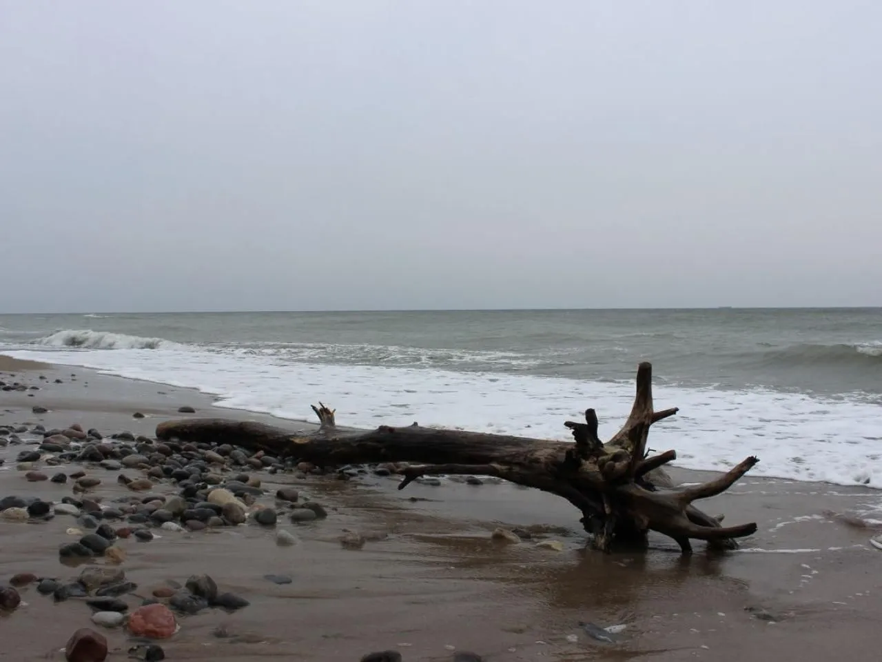 Seestern Dranske - Seestern-19