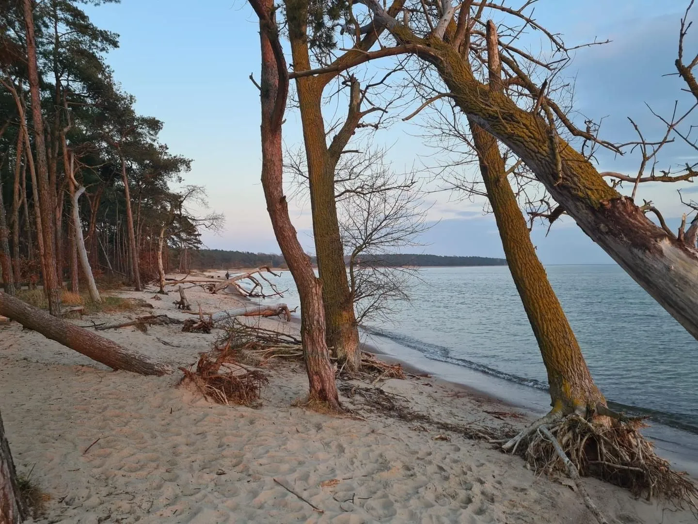Ferienhaus zum Kranichblick Garz OT Losentitz - Ferienhaus zum Kranichblick-10