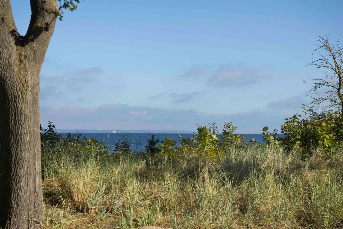(STR73) Ferienhaus "Meeresblick" Niendorf - Meerblick