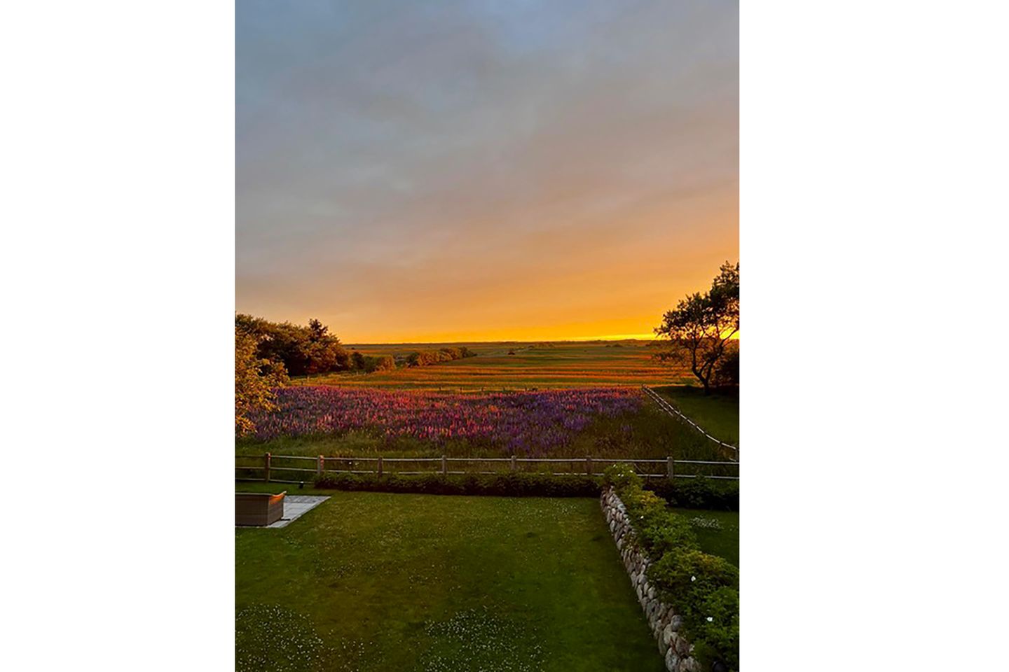  LITZKOW 16103 Archsum - Gartenblick