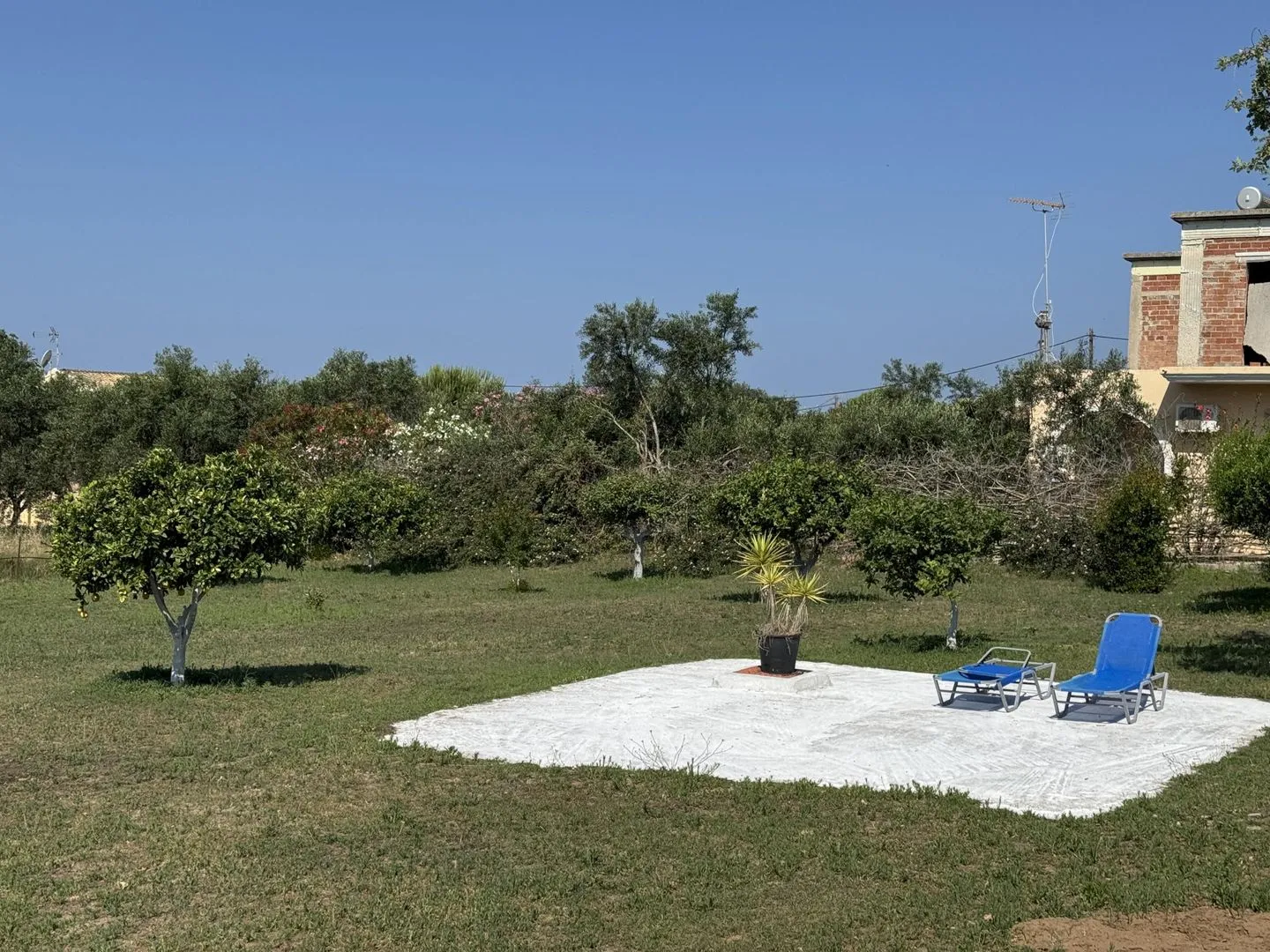 Chrissa Halikounas - Garden
