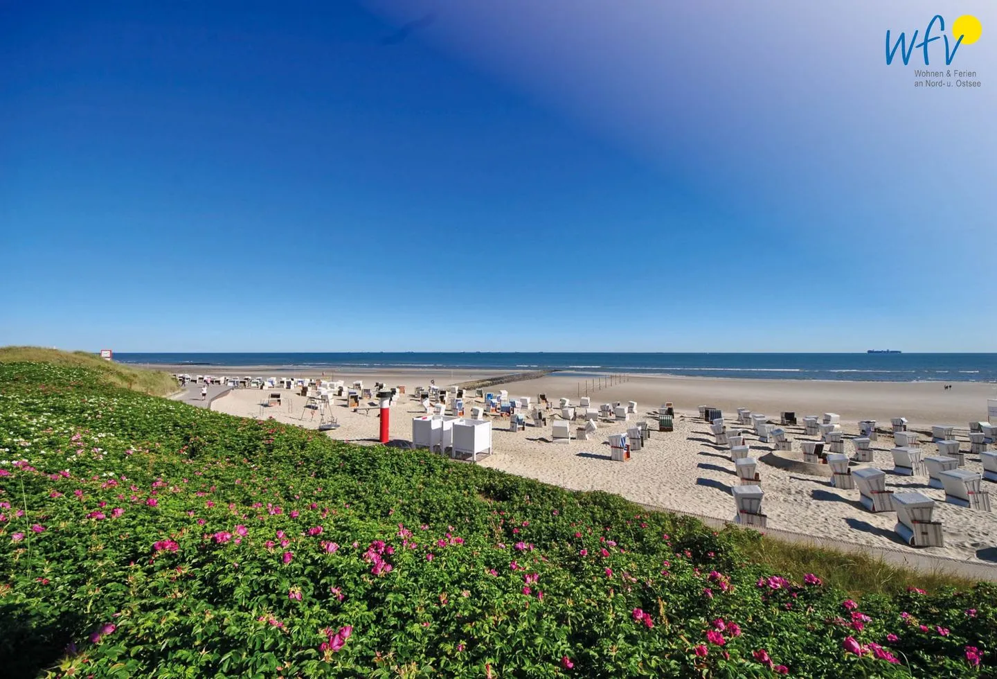 Haus Panorama Ferienwohnung Strandkieker Wangerooge - Strand