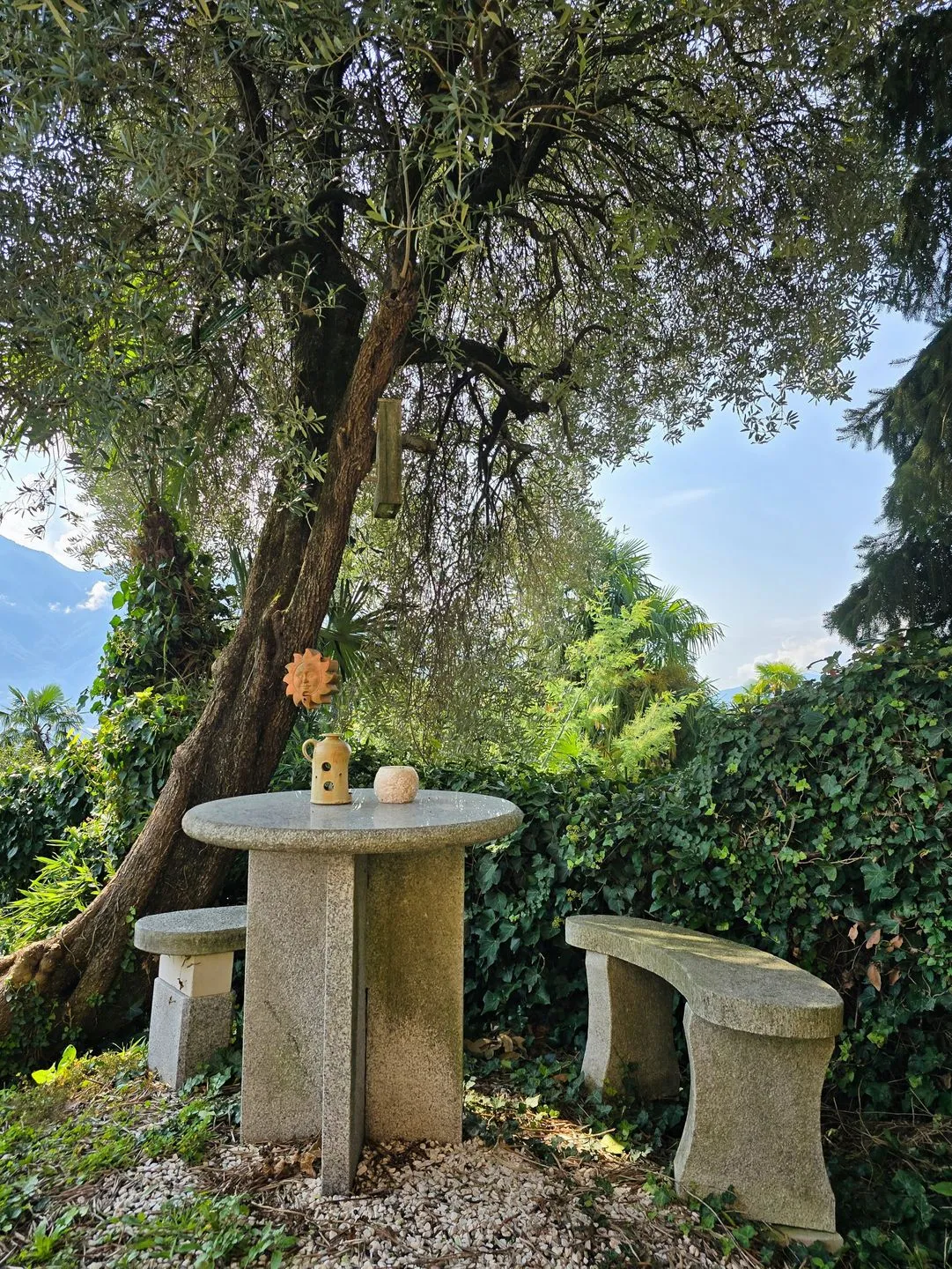Villa Ida Früh Locarno & Riviera - Garden