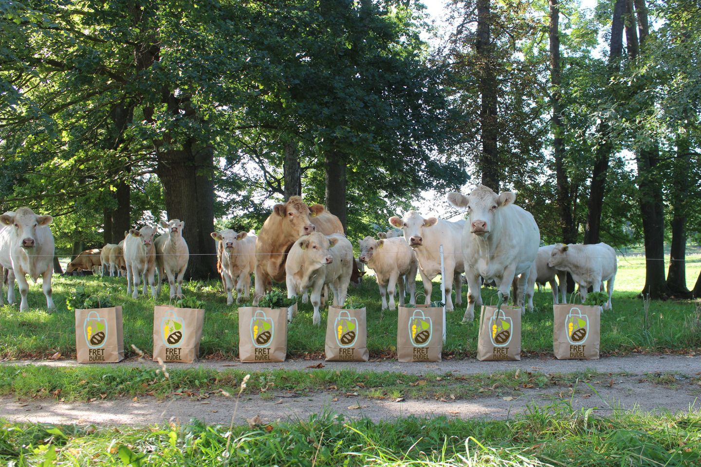 Band steht auf der Bühne