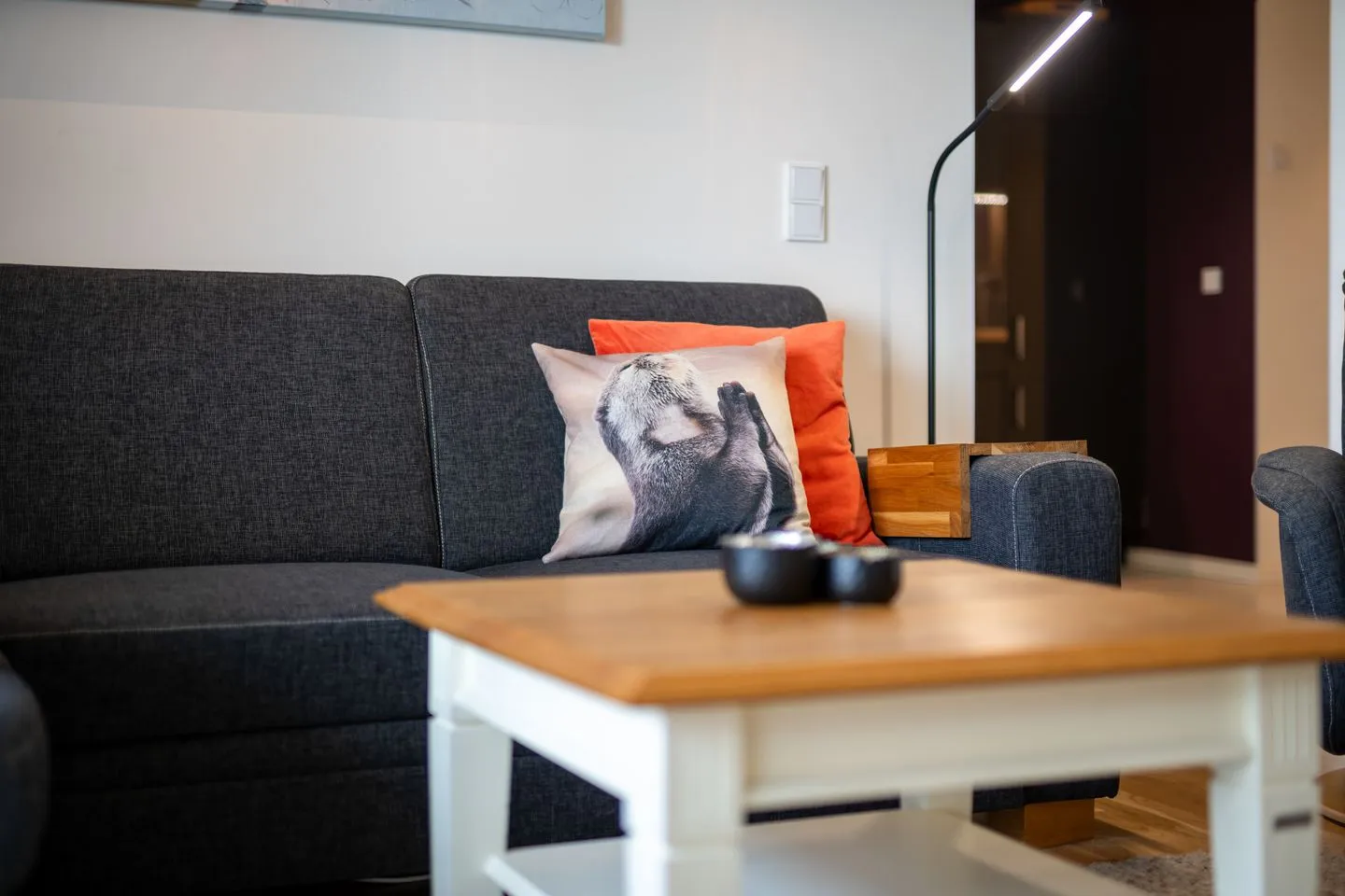 Fischotter Waren (Müritz) - Ferienwohnung Fischotter Waren (Müritz) - Sofa mit dekorativen Kissen im Wohnbereich