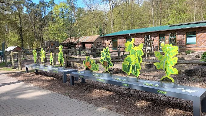 Band steht auf der Bühne
