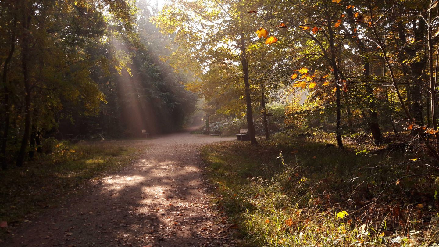 Direkte Umgebung [Sommer] (<1 km)