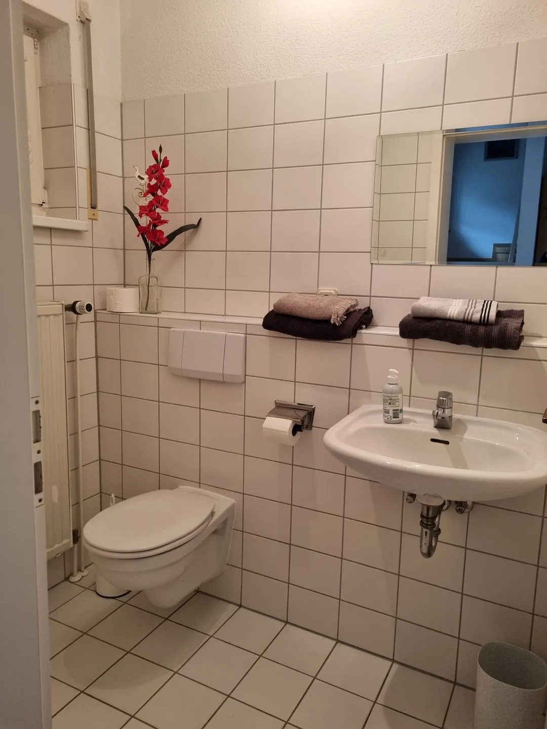 Ferienhaus zur Alleenstraße Garz OT Losentitz - Gäste-WC