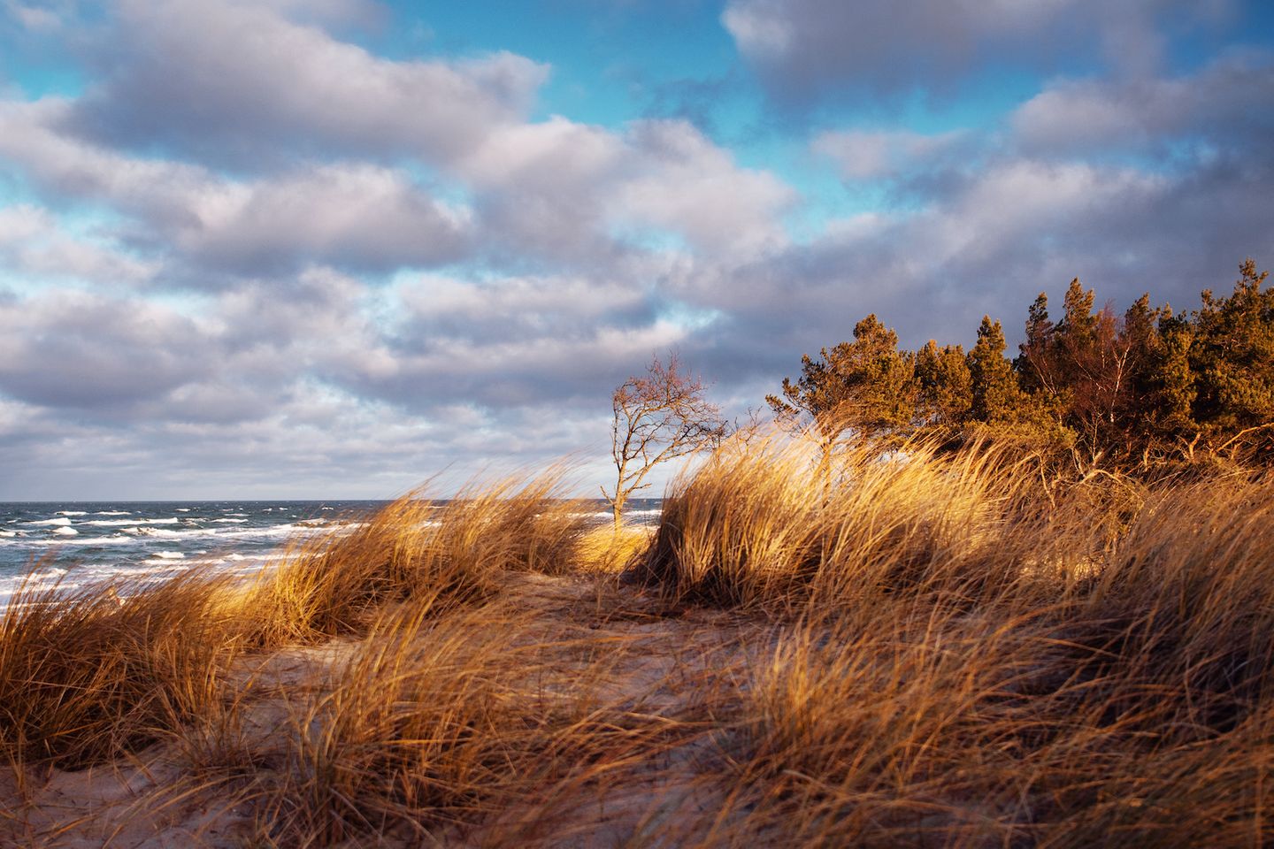 Blick auf die wilde Ostsee im Herbst von der Düne