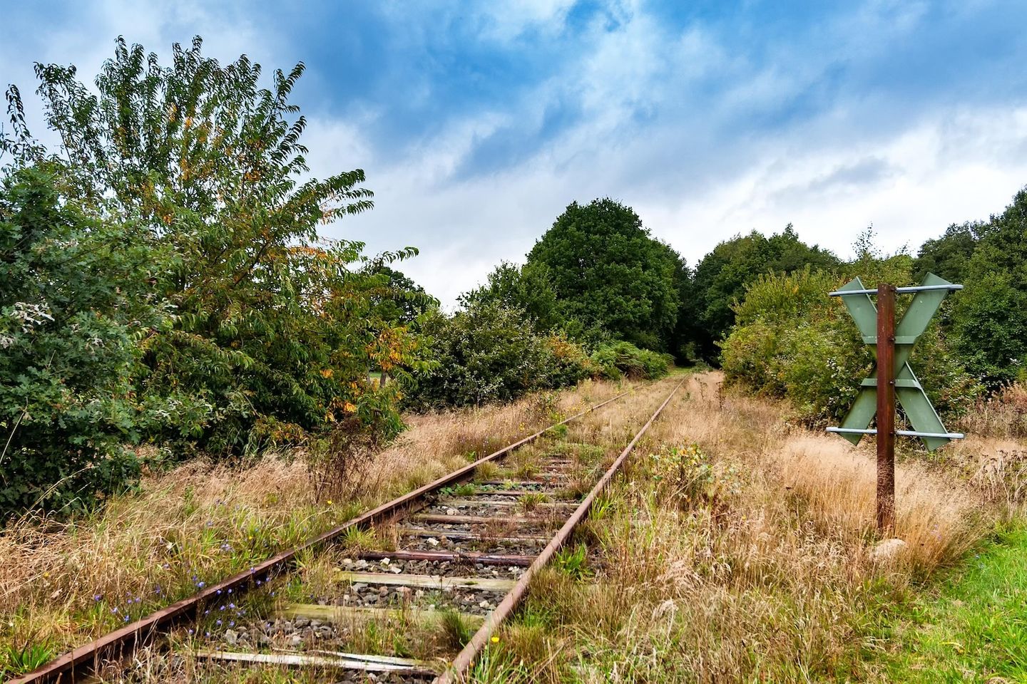 stillgelegte Bahngleise mit Wiese überwachsen