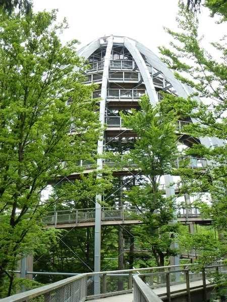 Baumwipfelpfad Bayerischer Wald