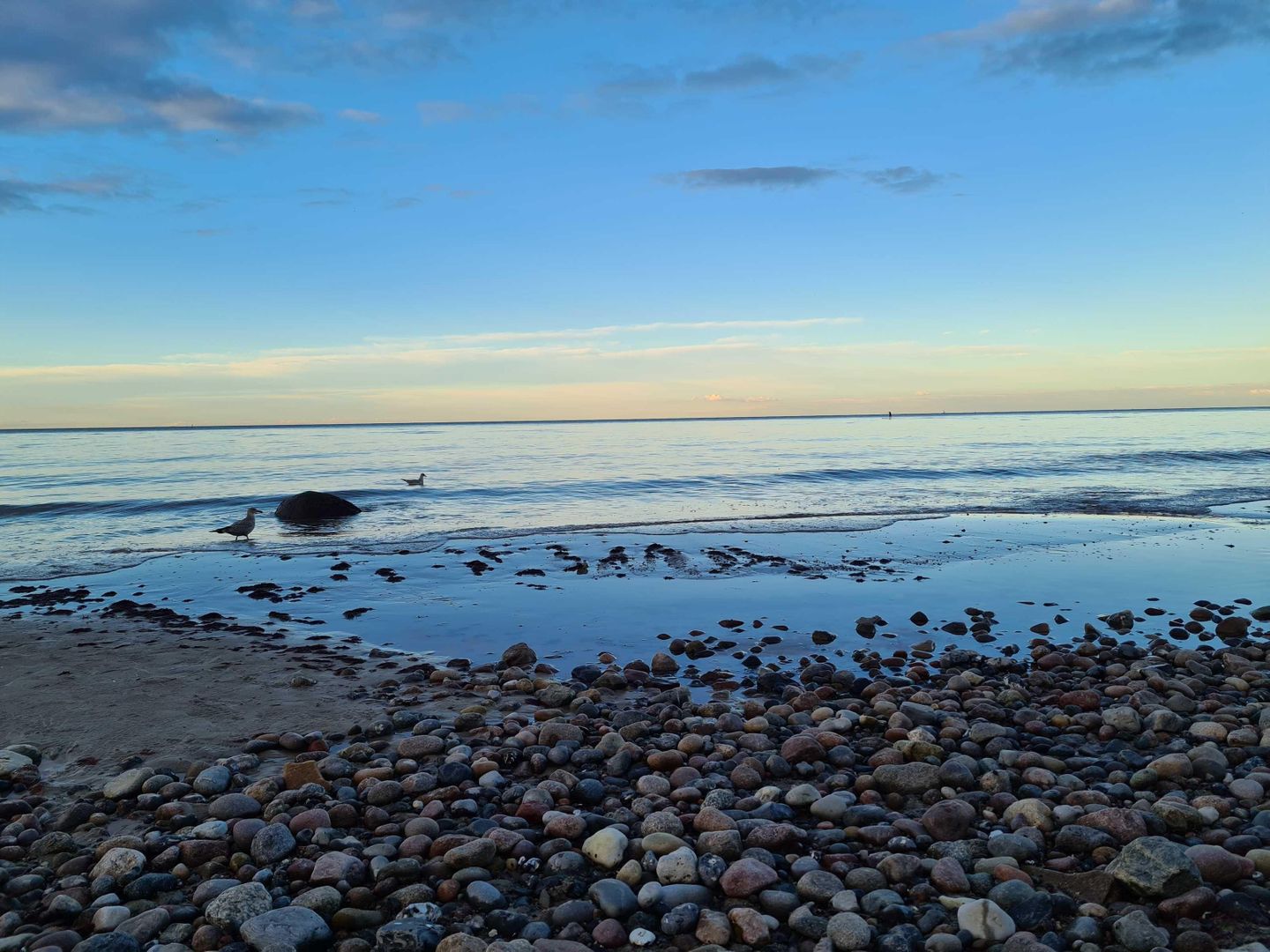 Strand von Diedrichshagen