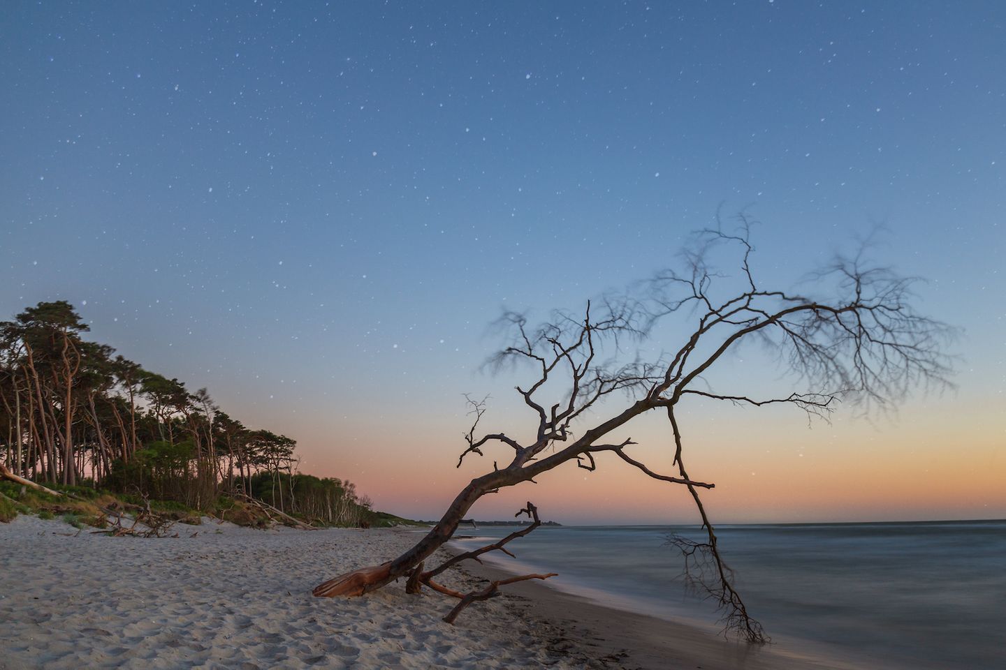Weststrand bei Abendrot mit Strandgut am Strand