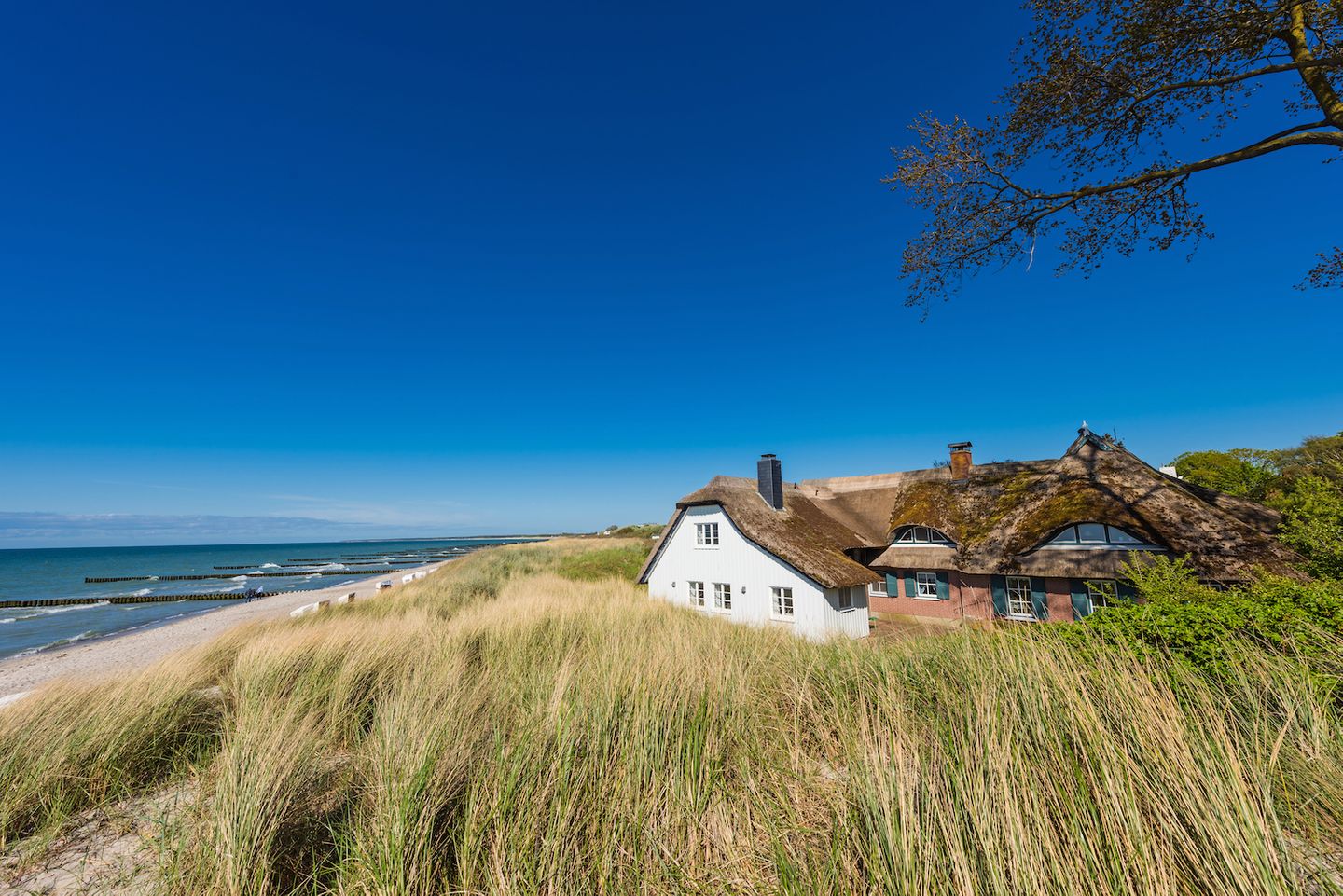 Ahrenshoop - Blick über die Dünen auf ein Strohdachensemble