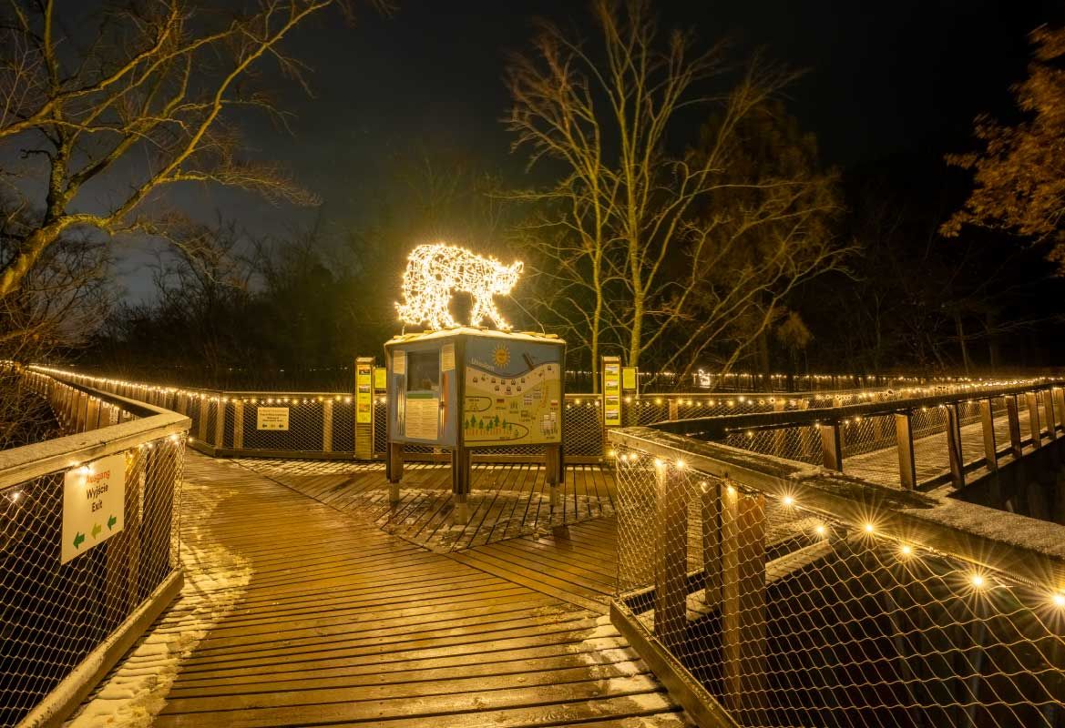 Lichterzauber auf dem Baumwipfelpfad Usedom