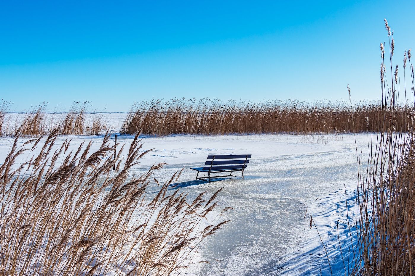 Blick auf den zugefrorenen Bodden mit eingefrorener Bank im Schilf