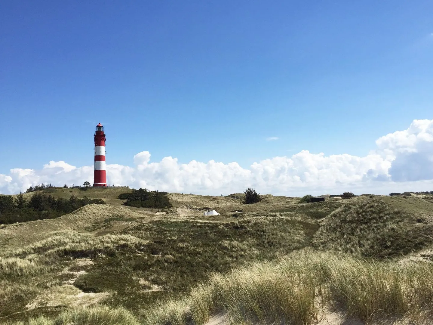 Haus *Südspitze 17* Ferienwohnung *Inselnest am Meer* Wittdün auf Amrum - Amrumer Leuchtturm in den Inseldünen