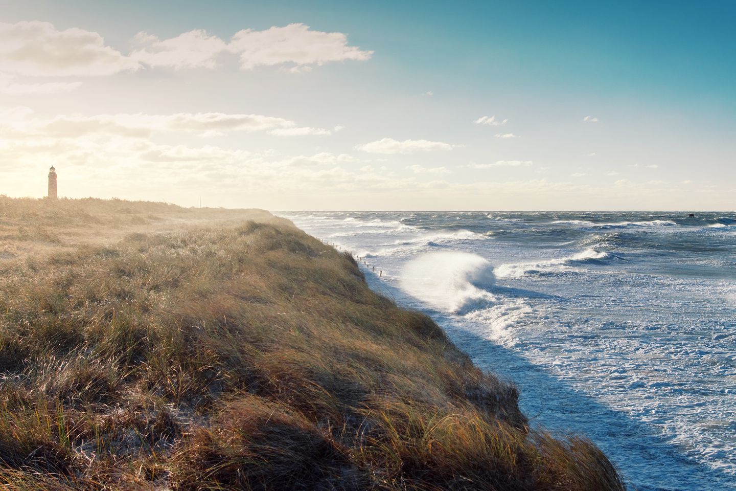 Blick aus den Dünen auf die Ostsee. In der Ferne ist der Leuchtturm am Darßer Ort zu sehen. 