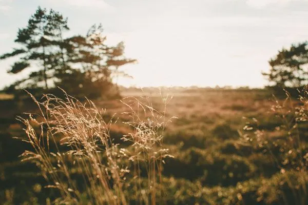 Haus Seestern Haus Seestern Stickenbüttel - 