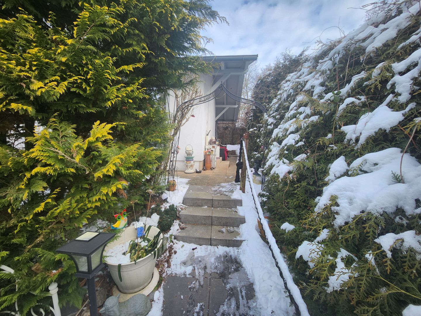 Ferienhaus 2 Bad Doberan Bild 7