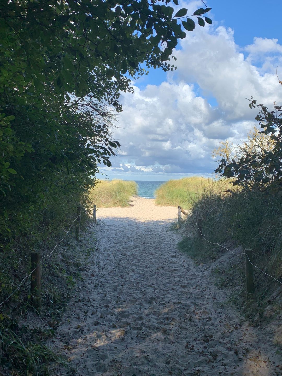 Strand