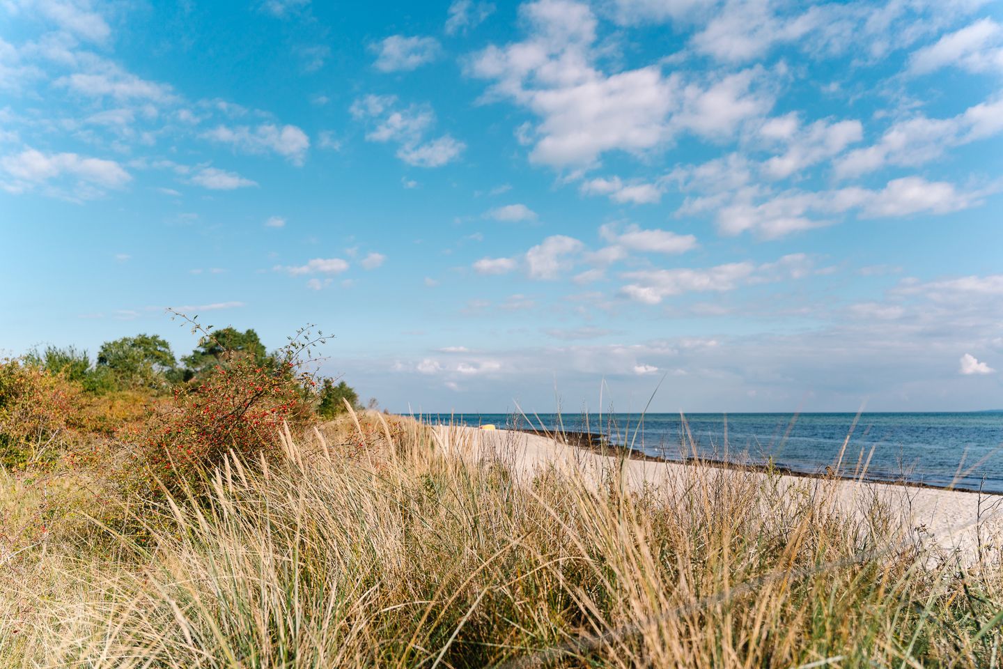 Dünenlandschaft Herbst