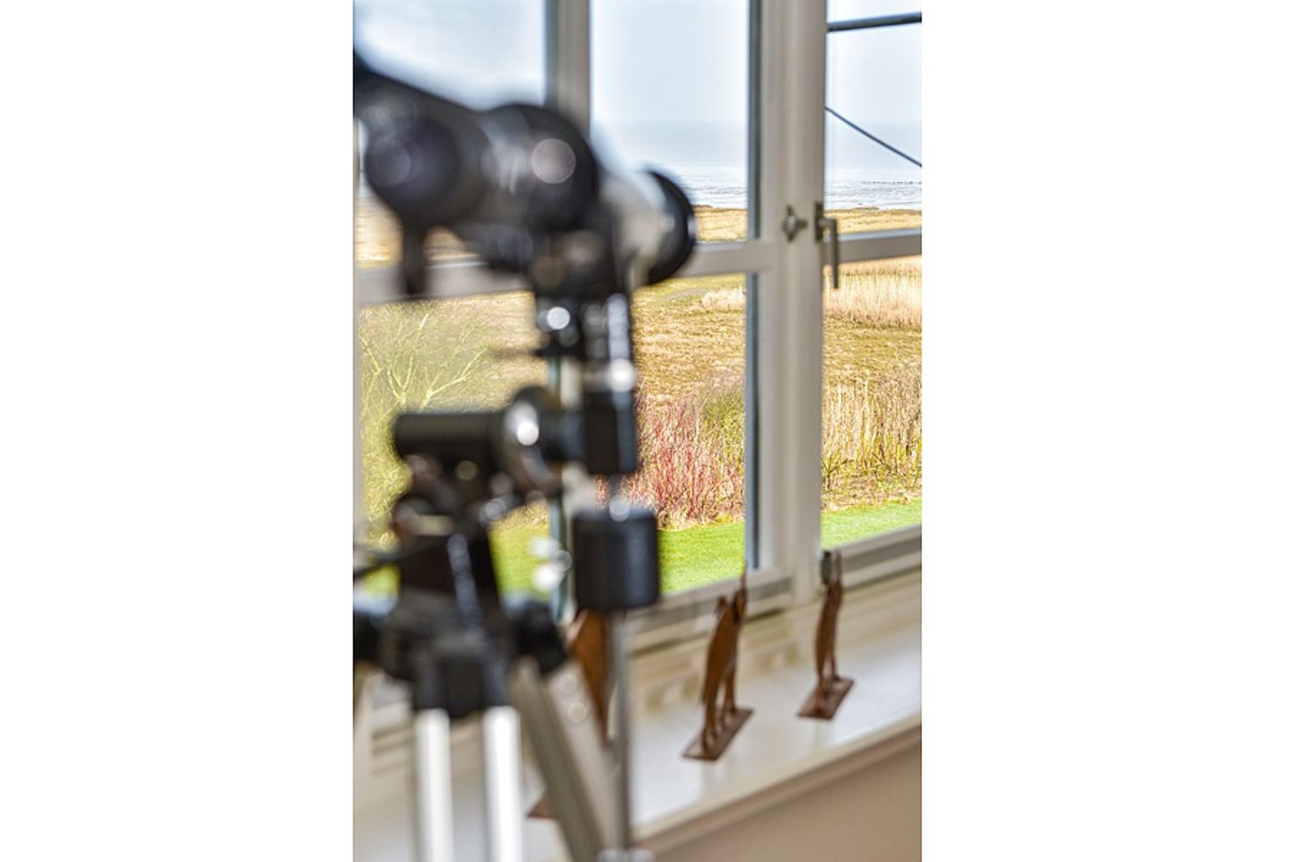  LITZKOW 10504 Morsum - 