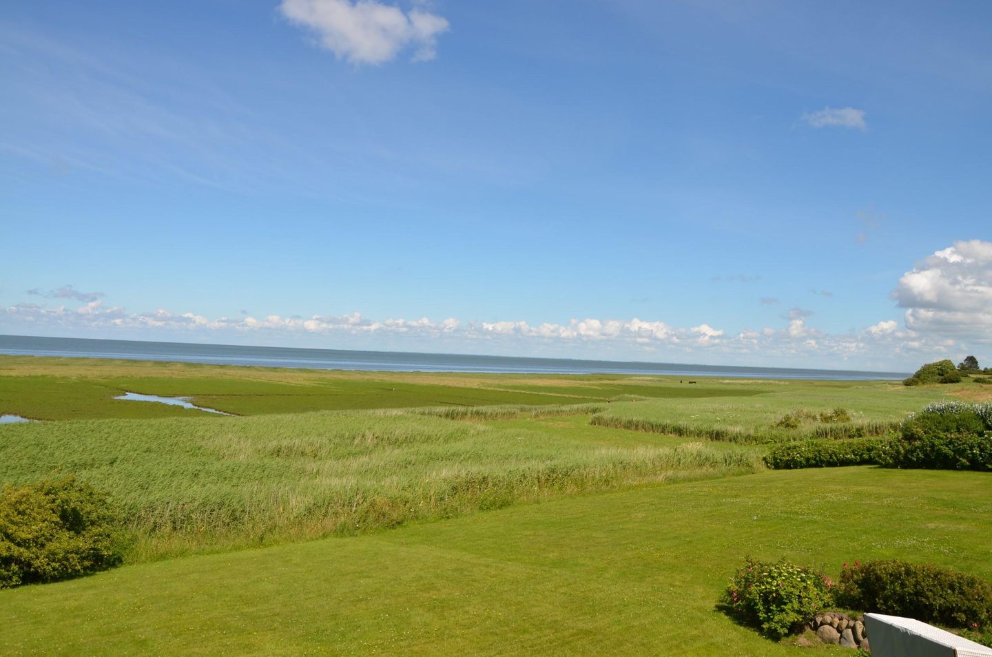  LITZKOW 10804 Morsum - 