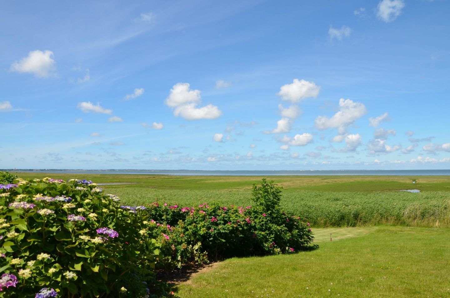  LITZKOW 10804 Morsum - 