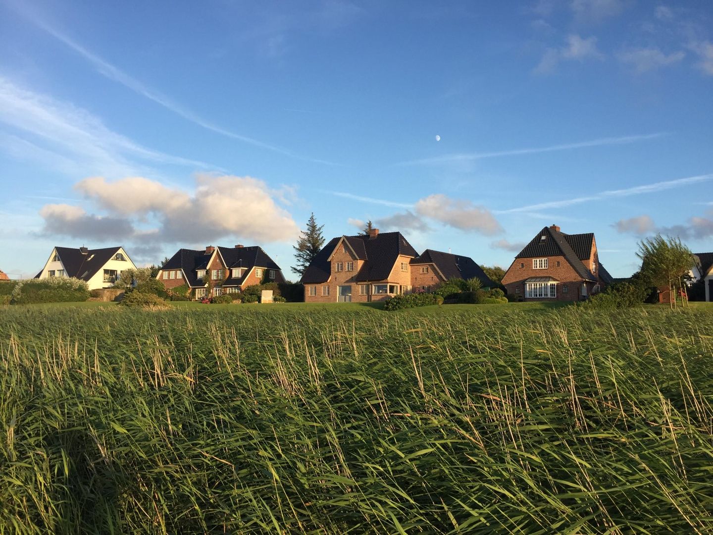  LITZKOW 10804 Morsum - 