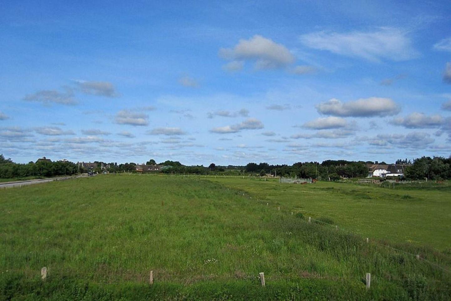  LITZKOW 11005 Morsum - 