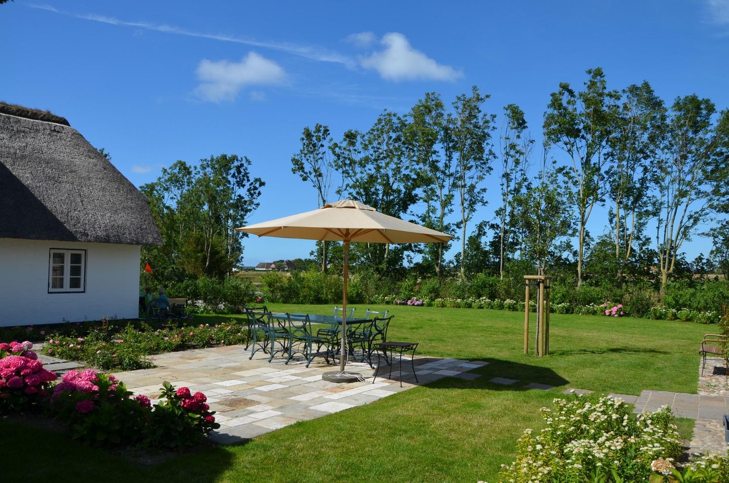  LITZKOW 12401 Morsum - 