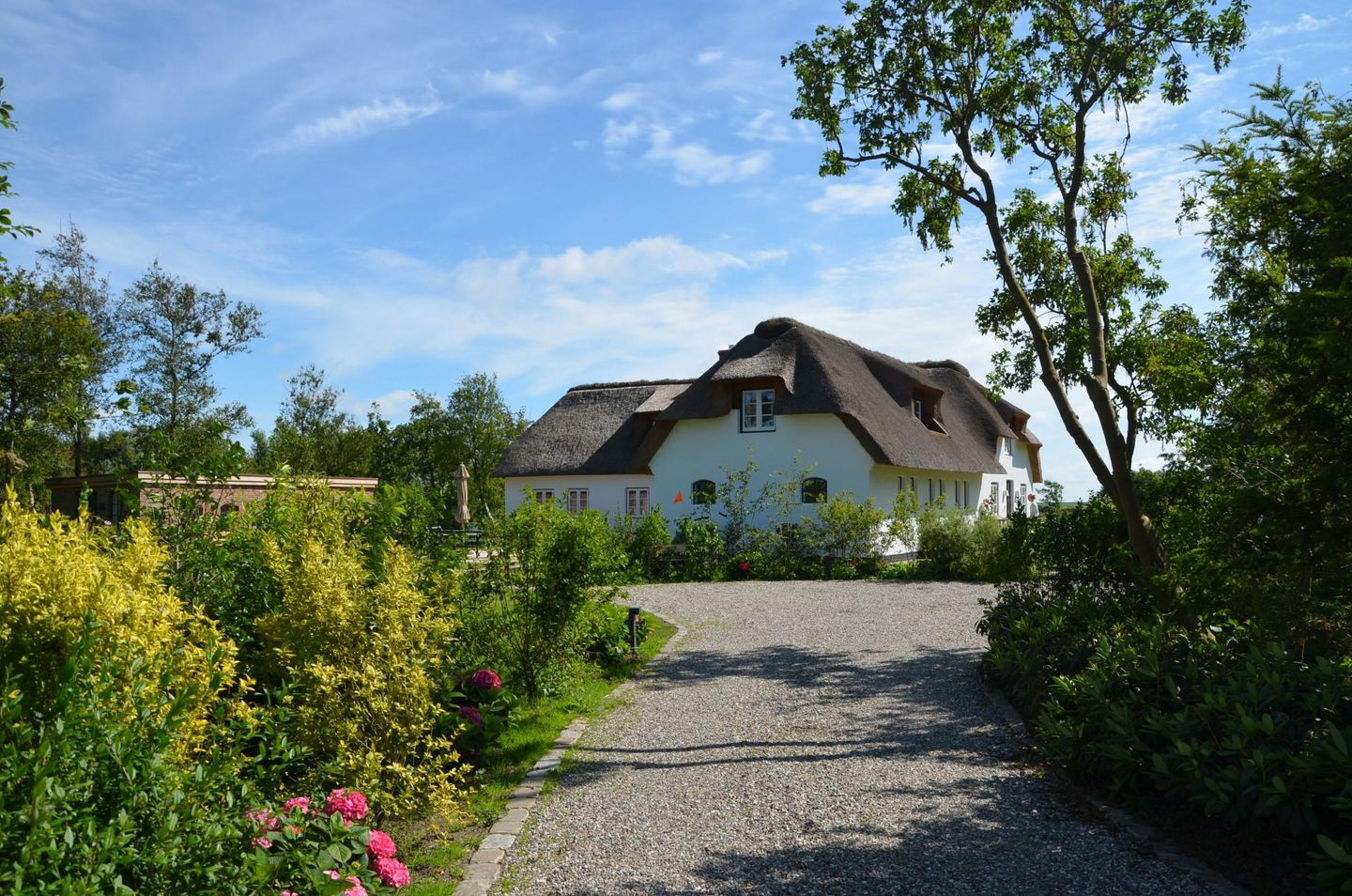  LITZKOW 12401 Morsum - 