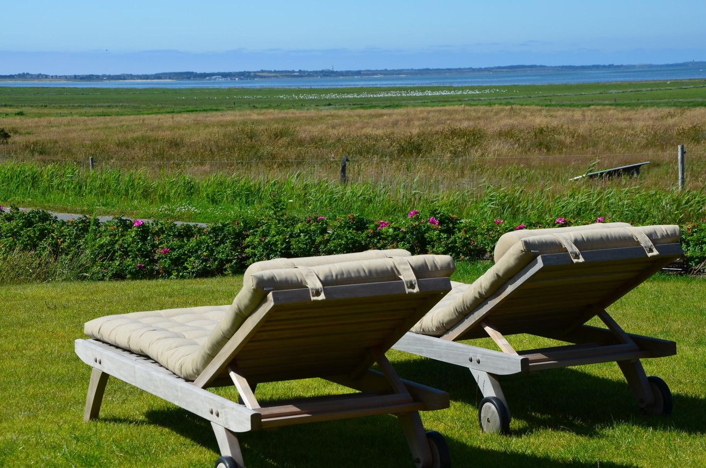  LITZKOW 12805 Morsum - 