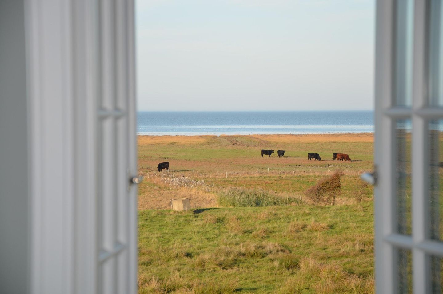  LITZKOW 12805 Morsum - 