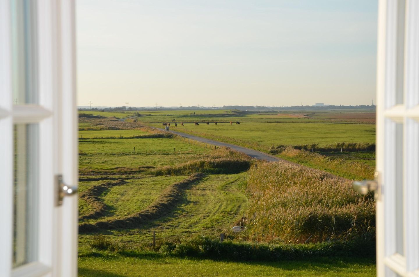  LITZKOW 12805 Morsum - 