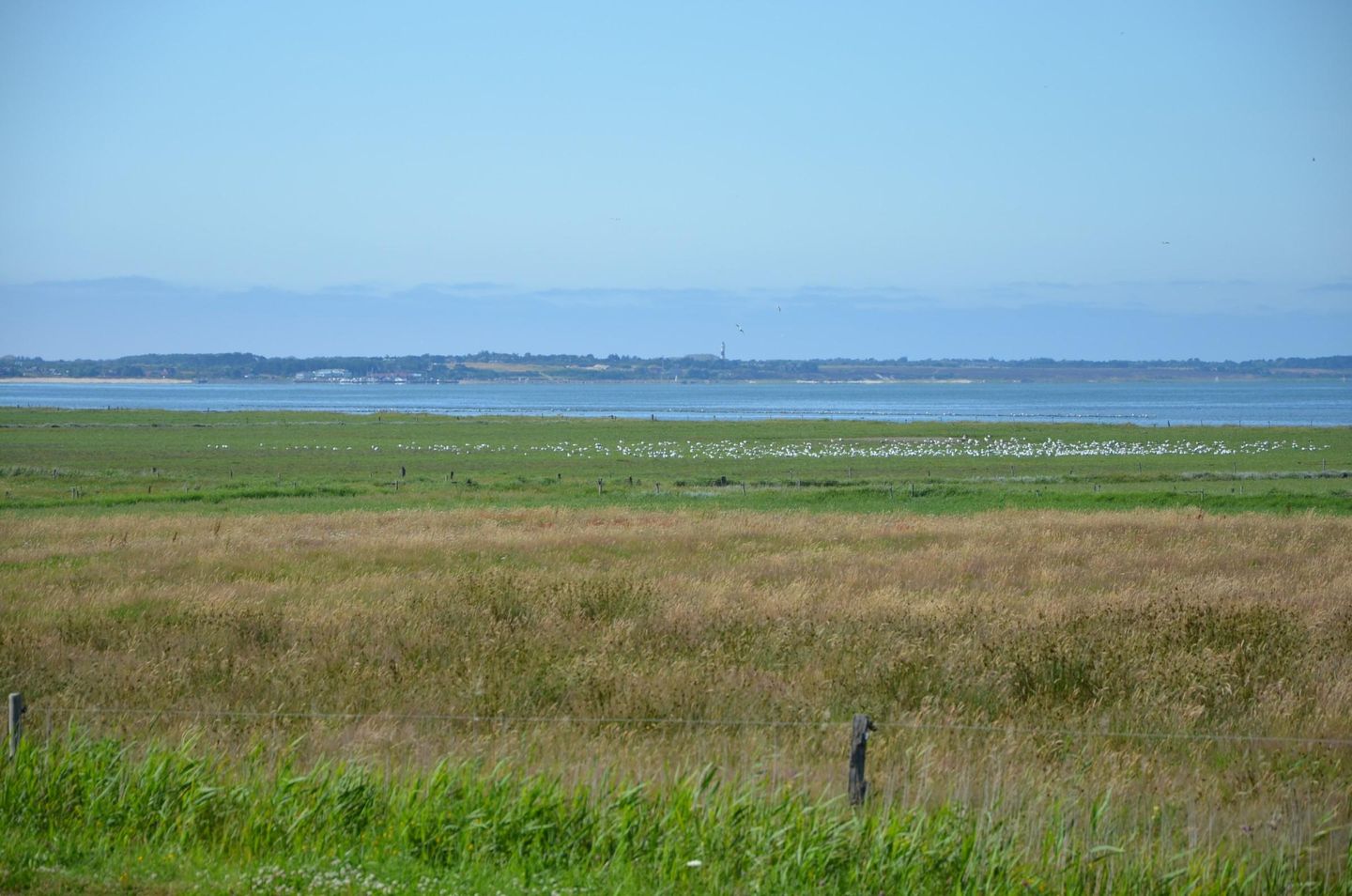  LITZKOW 12805 Morsum - 